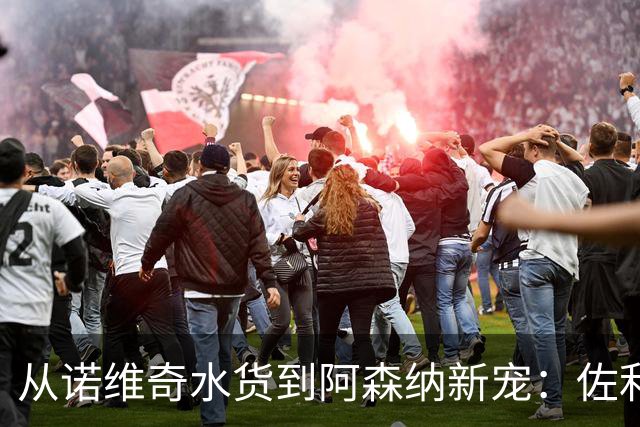 从诺维奇水货到阿森纳新宠：佐利斯22球29助攻的逆袭之路